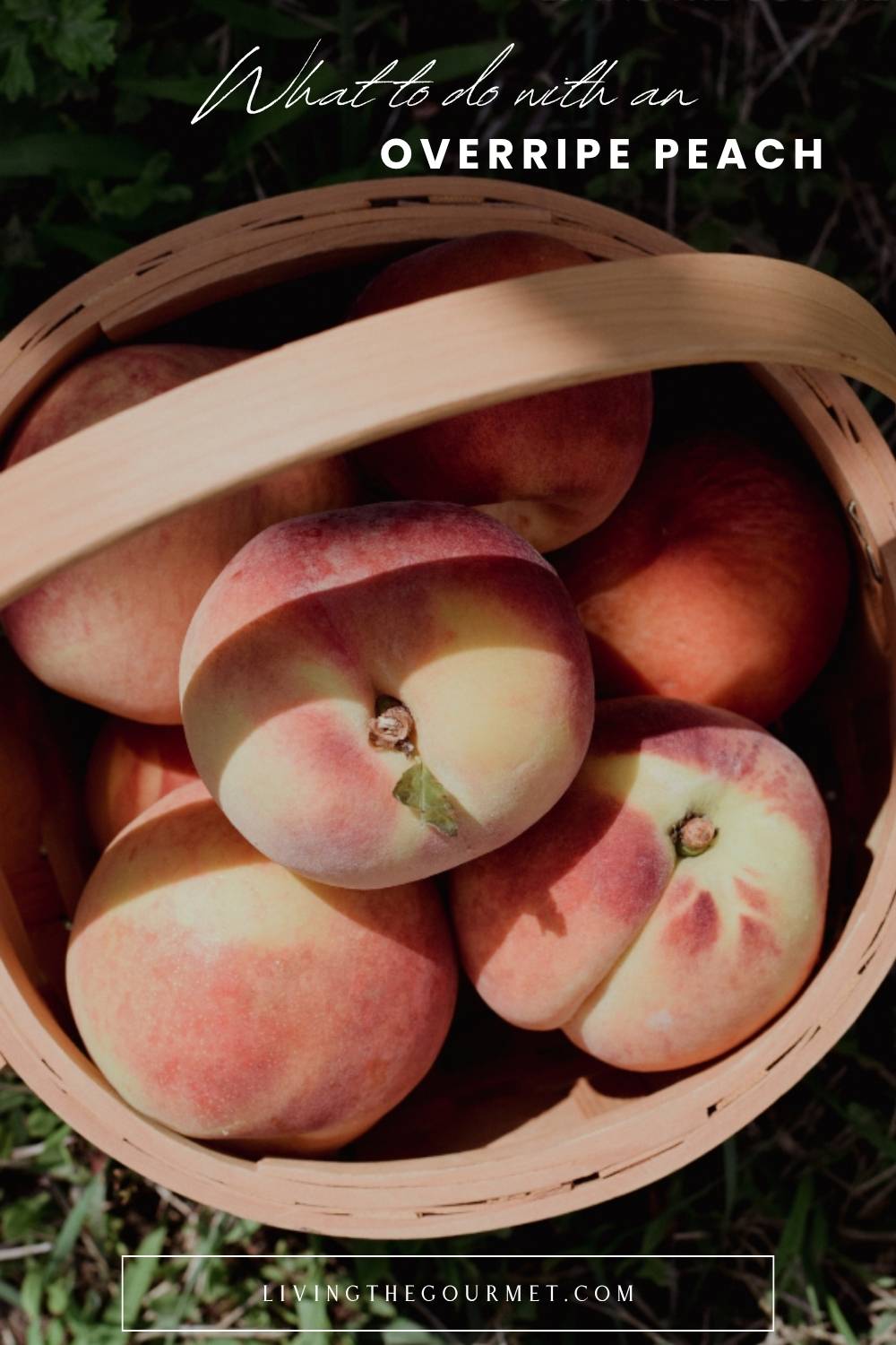 What to do with an Overripe Peach