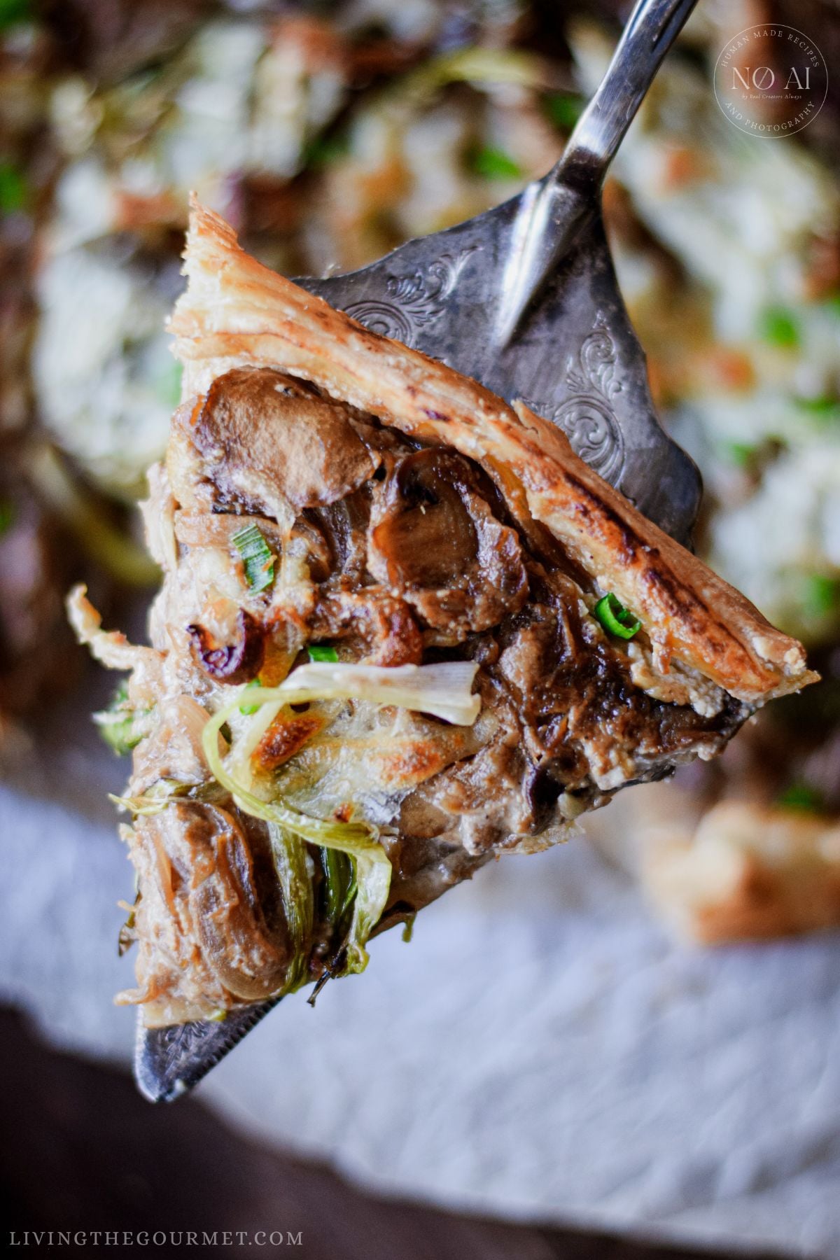 A slice of Caramelized Onion and Mushroom Galette